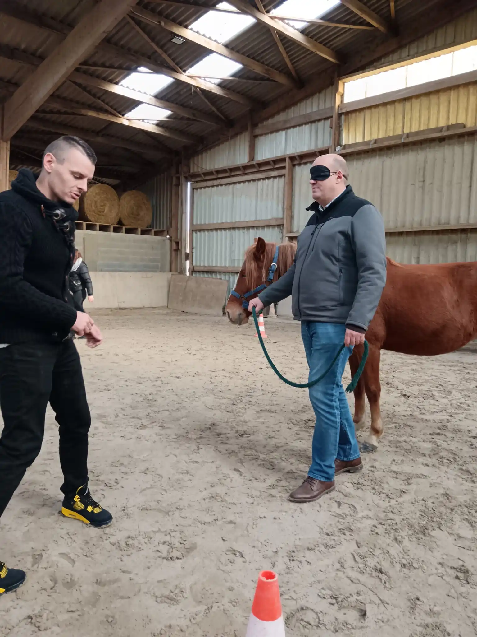 Réalisation d'un exercice d'équicoaching