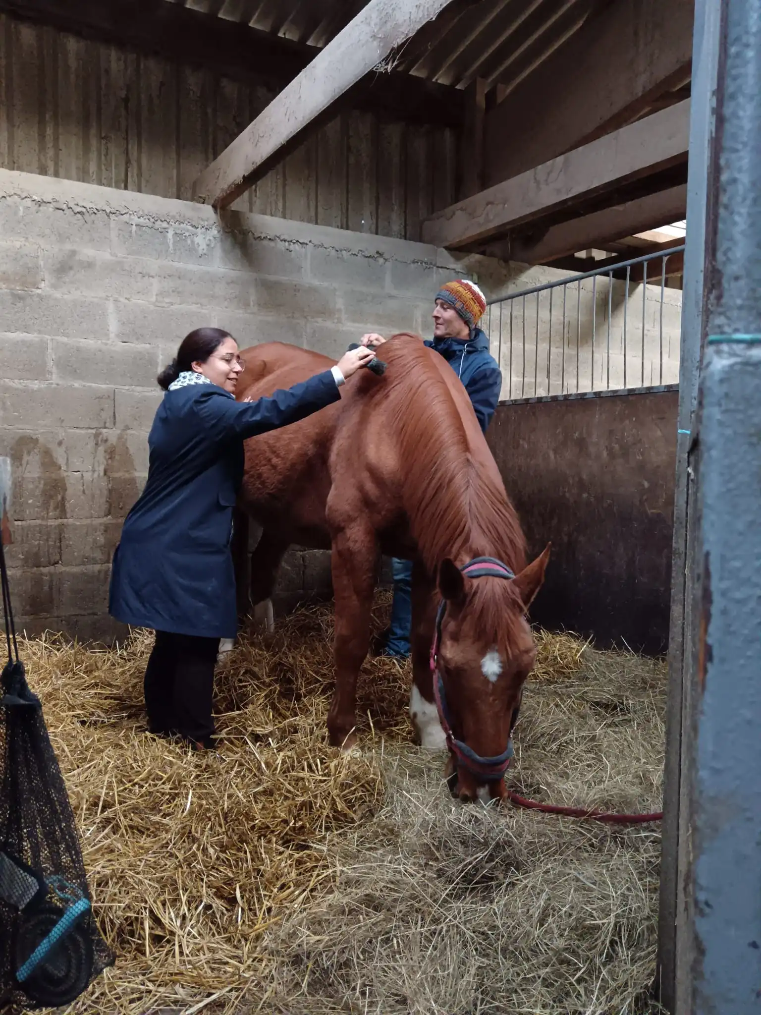 Deux personnes réalisant un exercice d'équicoaching