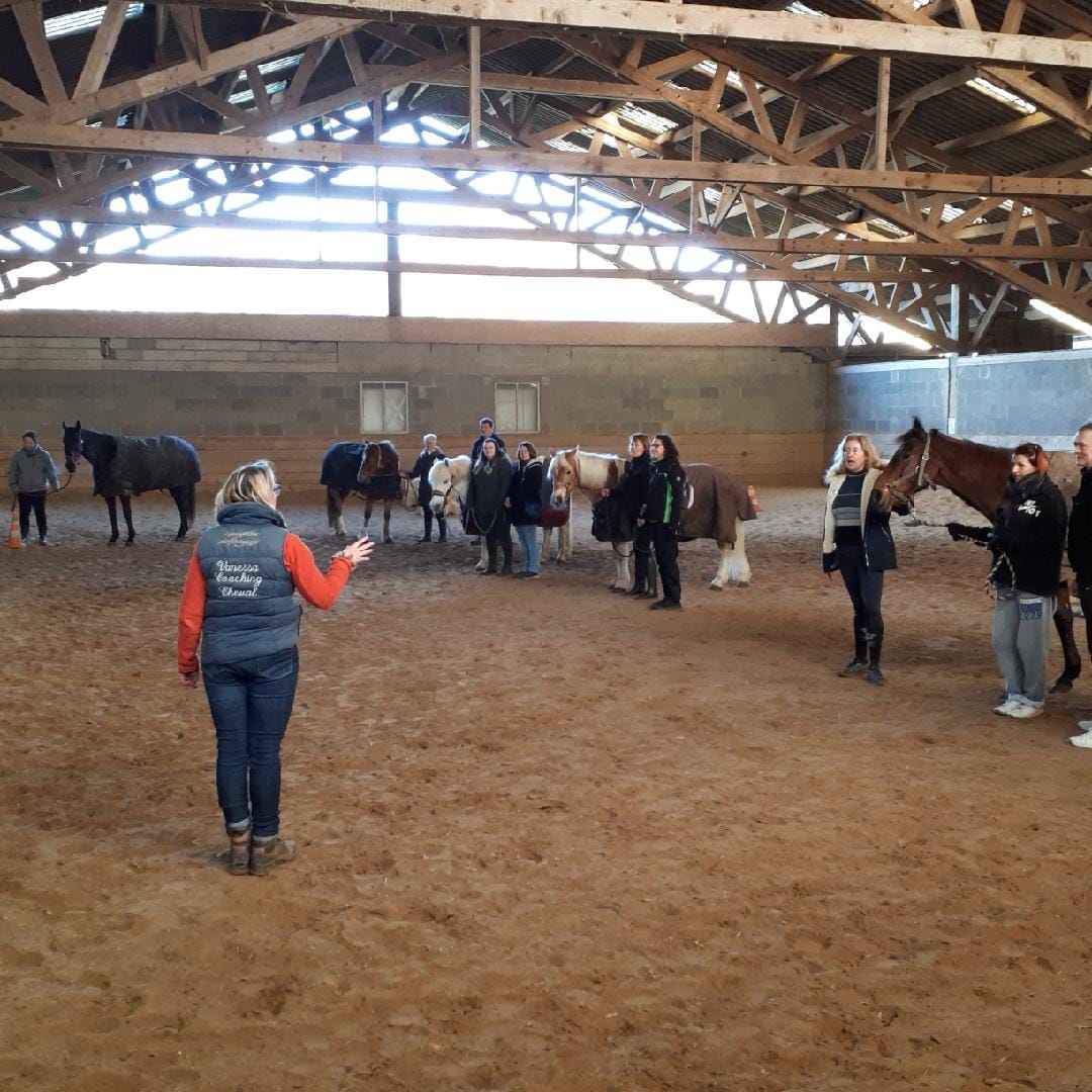 Lire la suite à propos de l’article L’Équicoaching : Le Pouvoir de l’Interaction avec les Chevaux