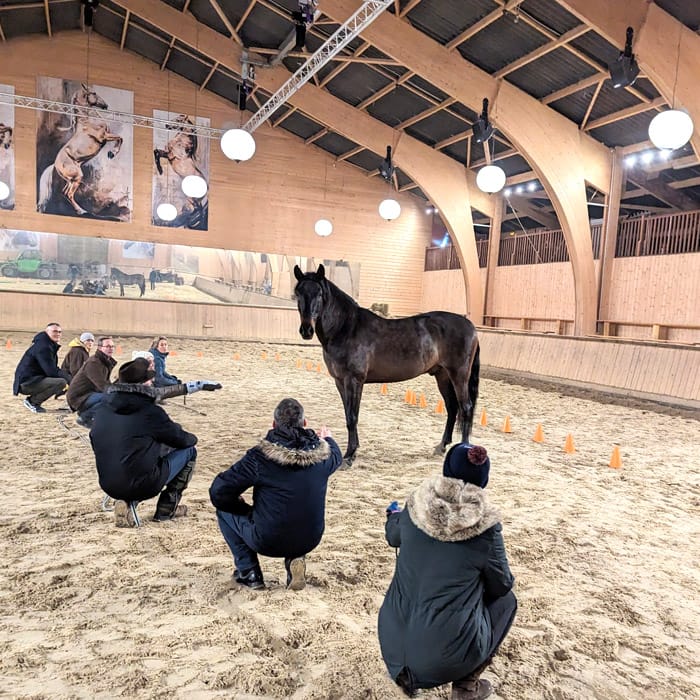 Lire la suite à propos de l’article Admission à l’Académie d’Equicoaching de France 2025